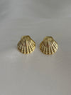 Gold Renkli Midye Küpe